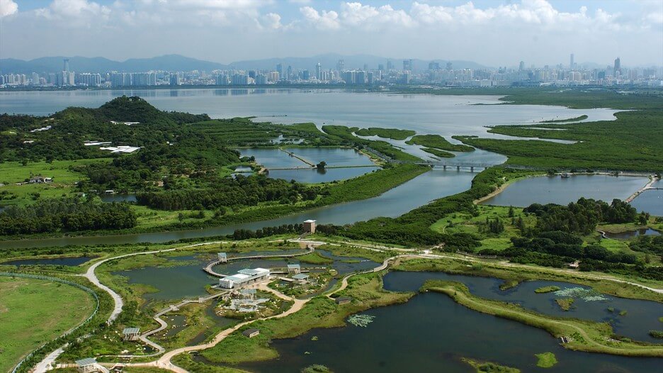 Hong Kong Wet Land Park