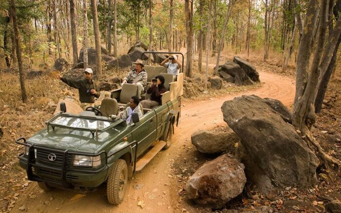 jeep safari in Pench National Park