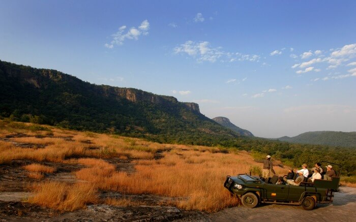 jeep safari in a national park