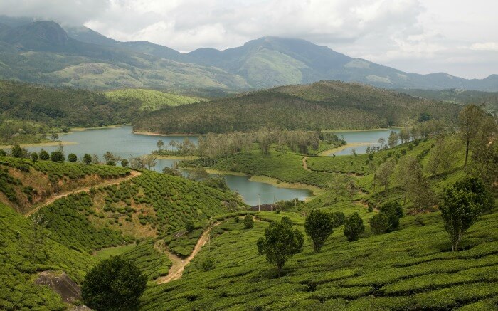 tea gardens and a lake in Yelagiri