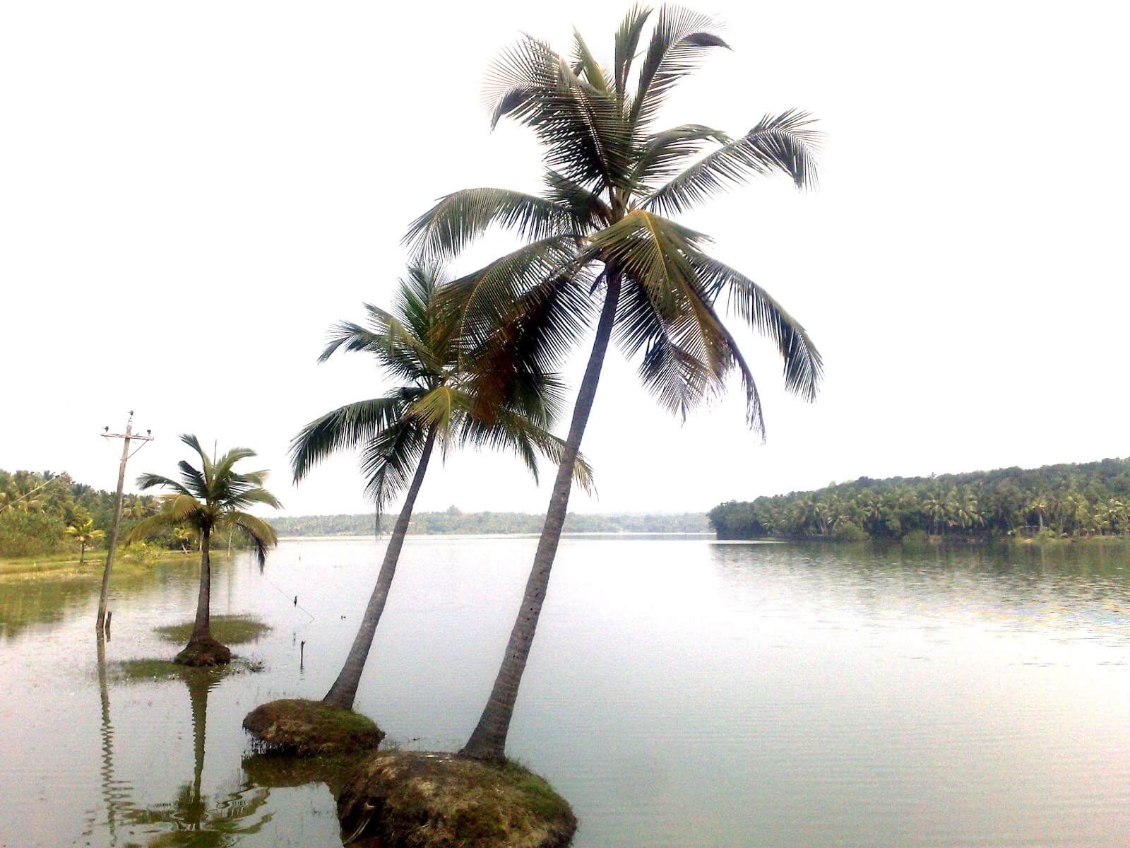 Vellayani Lake in Kovalam