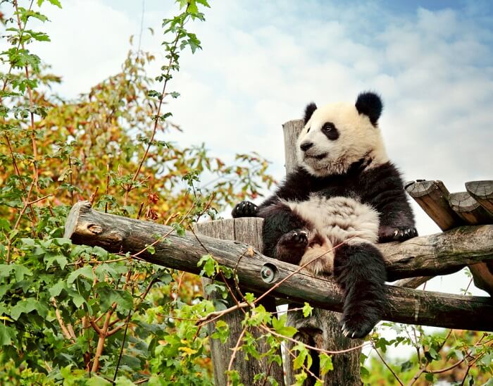 Vienna Zoo