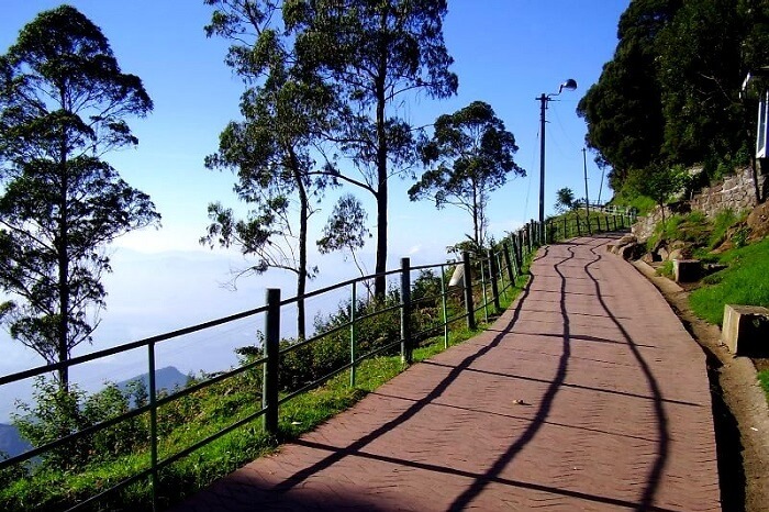 Coakers Walk Kodaikanal