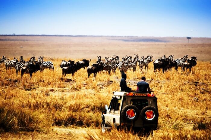 things to do in Africa