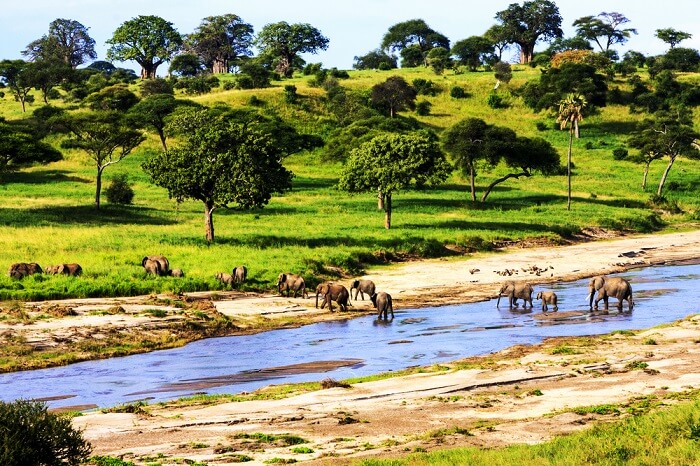 Serengeti National Park in Tanzania, Africa