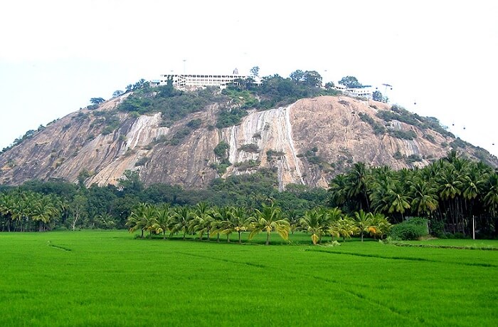 Palni Hills