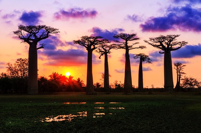 places to visit on honeymoon in Africa