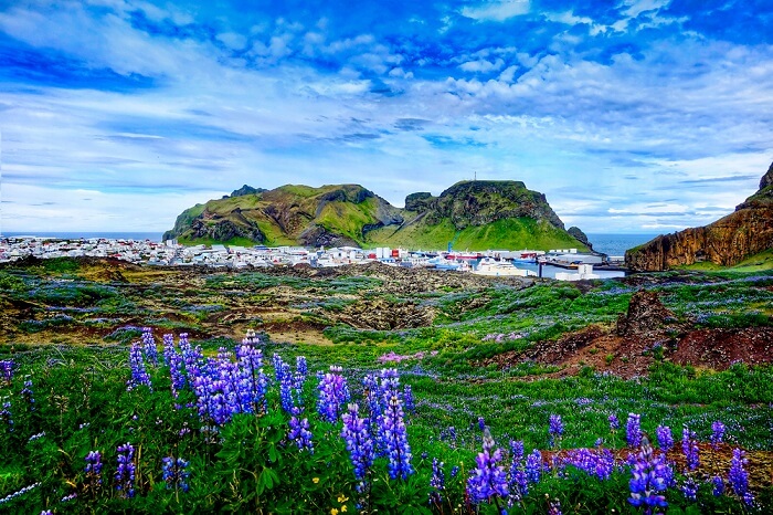 Vestmannaeyjar, Iceland