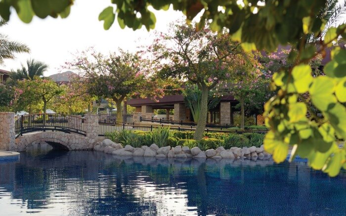 A gorgeous outdoor pool surrounded by trees