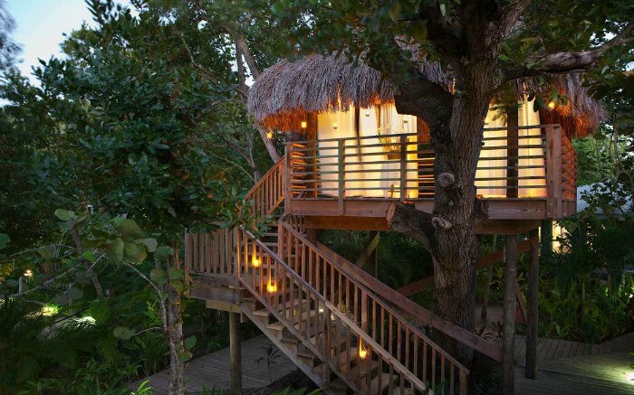 A hutlike tree house resort in Jamaica