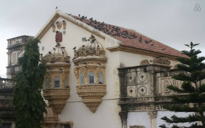 Birds sitting on the roof of Devpur Homestay in Gujarat