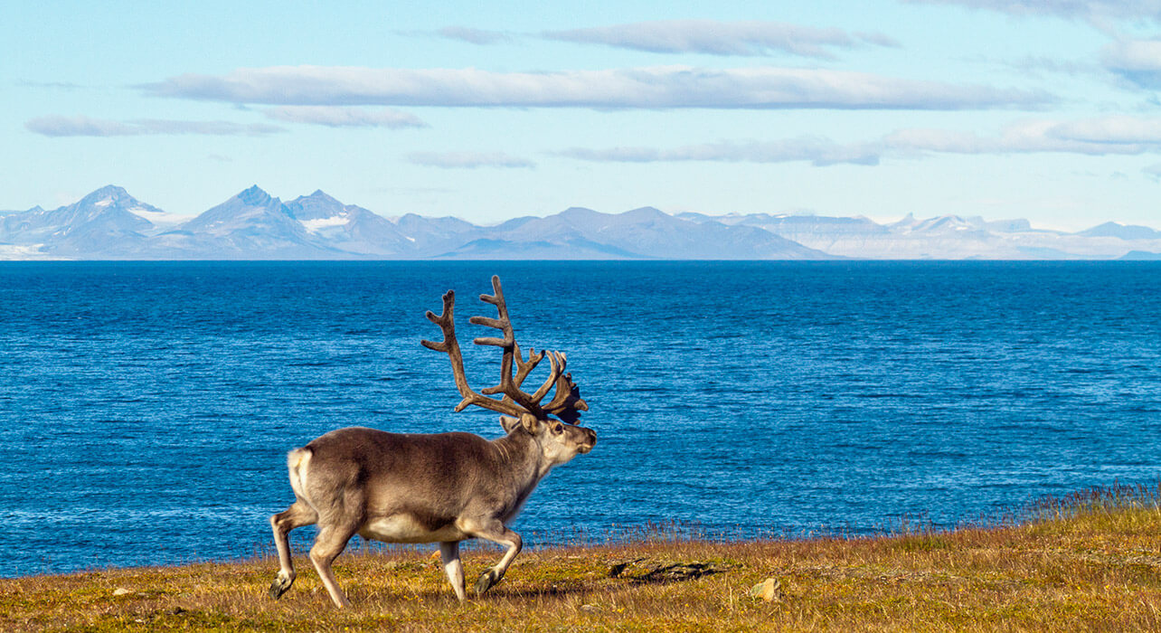 10 Incredibly Awesome Things To Do In Norway For Couples