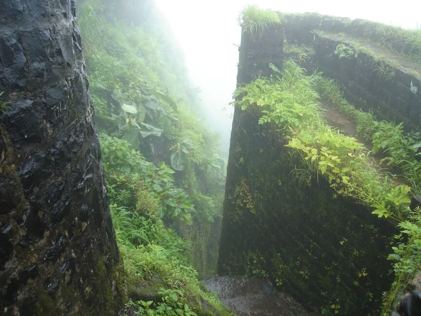 foggy stairs of Tikon Fort covered by grass and moss