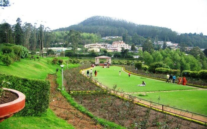 People walking in the lush green Rose Garden