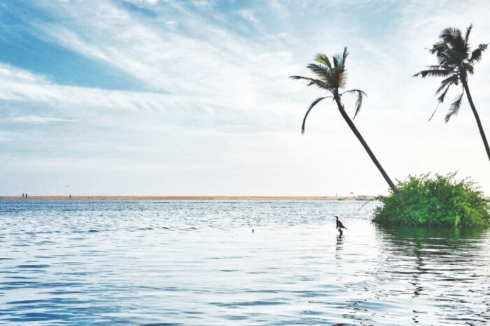 Poovar