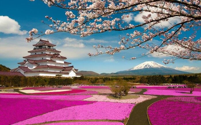 Sunny day during spring season