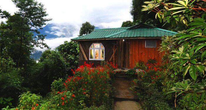 Wild Flower Retreat Sikkim