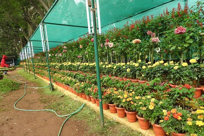 Yercaud