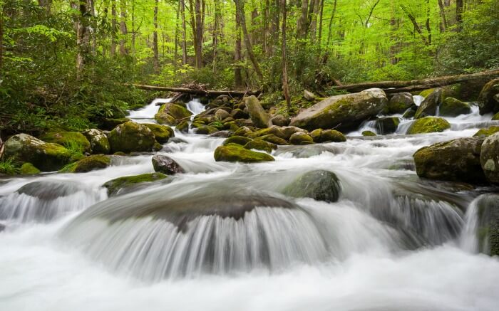 a beautiful waterfall in a jungle