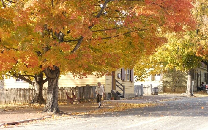 a man walking under a yellow tree in autumn in a small town