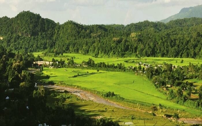 an extensive green ground in the middle of mountains
