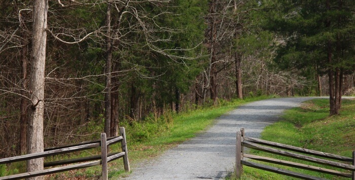 10 Breathtaking Honeymoon Destinations In North Carolina - Vimarsana News