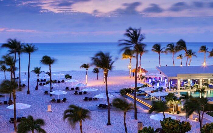 palm trees and and sundecks on the private beach of Aruba