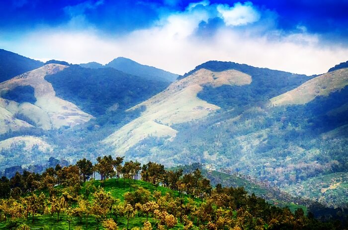 Gavi, Kerala
