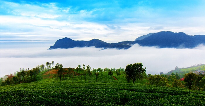 Ooty, Tamil Nadu