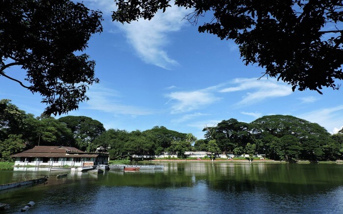 A beautiful lake surrounded by trees