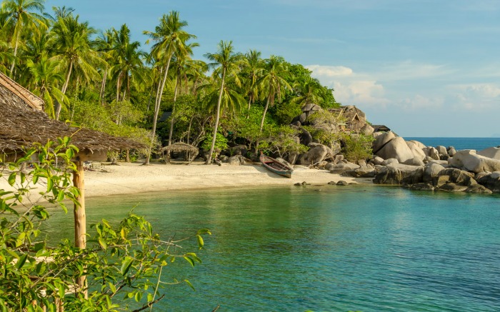 Palm trees and boulders on sandy beaches
