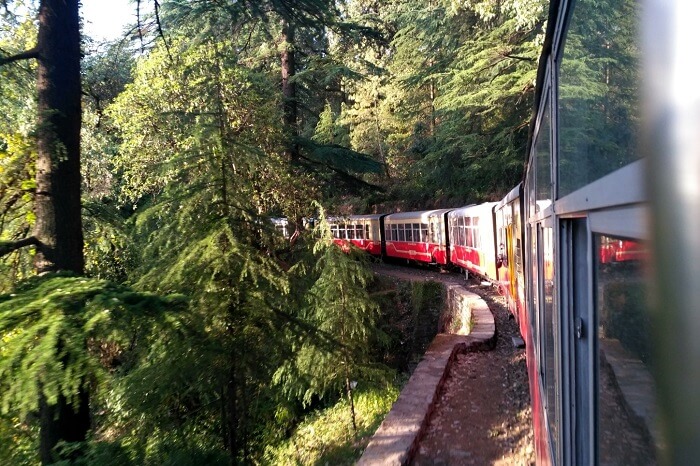 shish enjoying scenic views from kalka shimla train