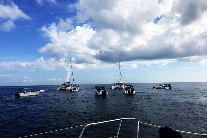 cruising in Mauritius