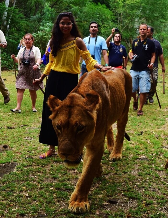 Casela Nature Park, Mauritius