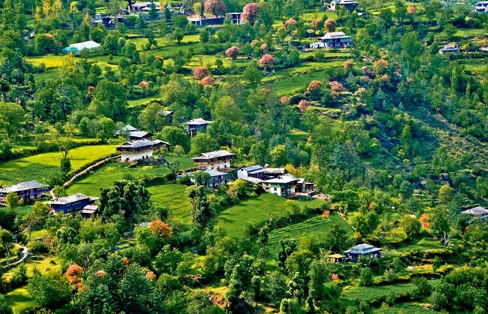 gorgeous hill stations near shimla