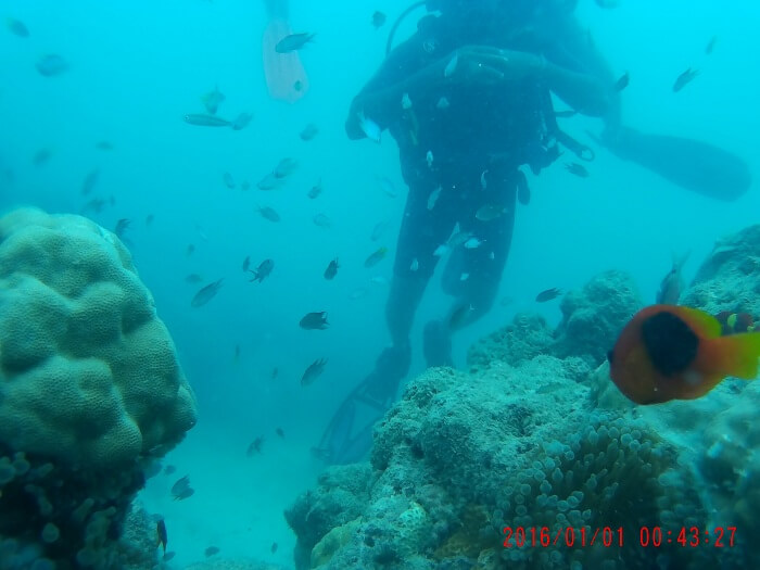havelock scuba diving