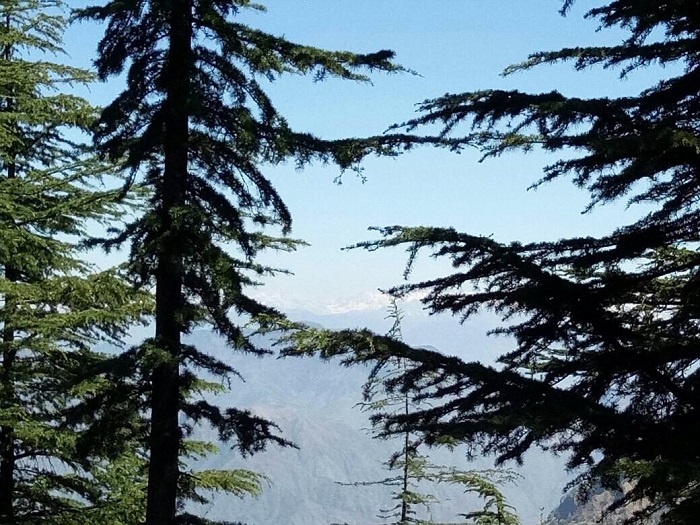 weekend trip to Shimla with family