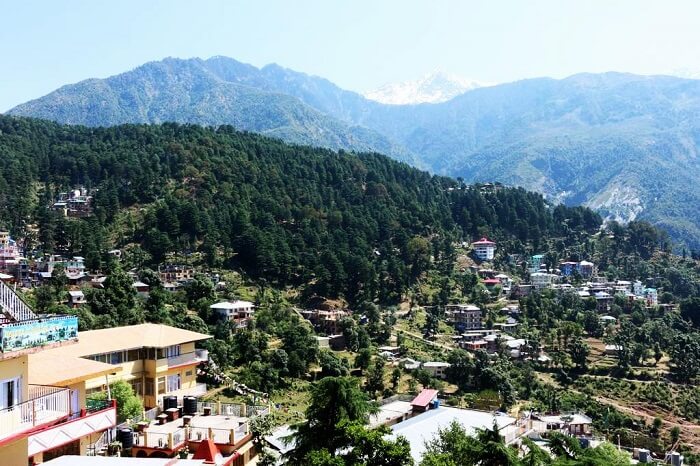 Mcleodganj Hotels