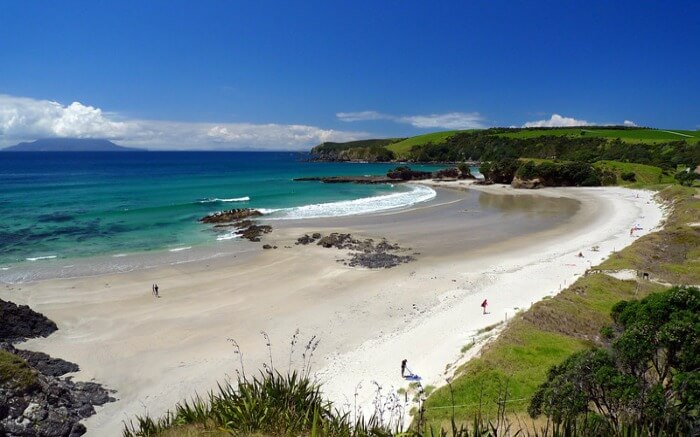 Tawharanui