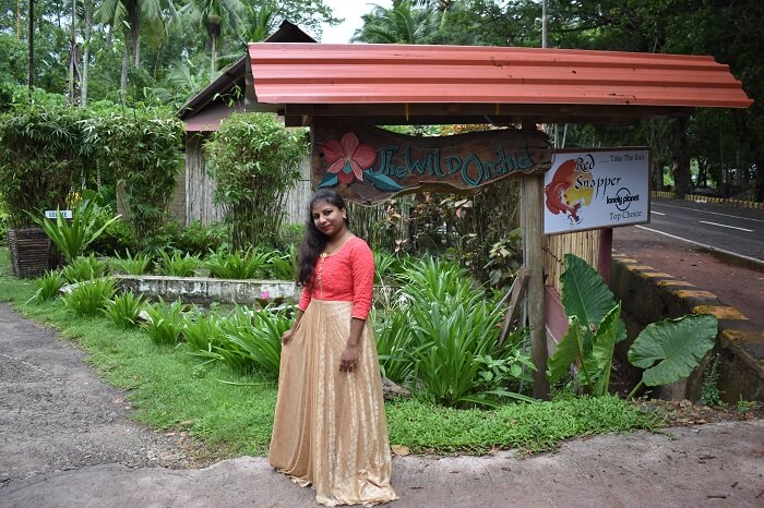 honeymoon in havelock island