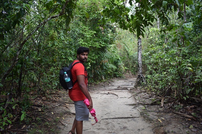 trek to limestone caves