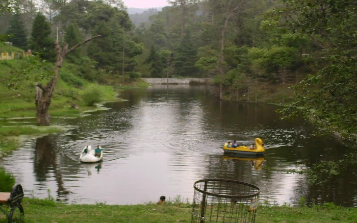 Duck style boats in a lake in Ranikhet