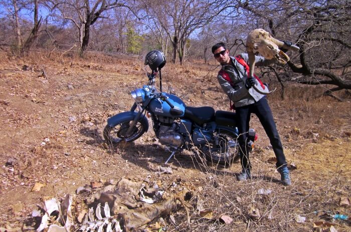 Engage in Gir Jungle Trail Safari