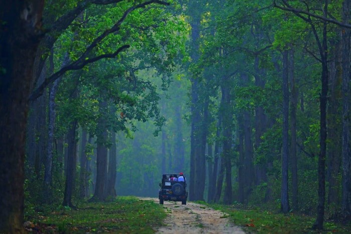 visit Gir Interpretation Centre
