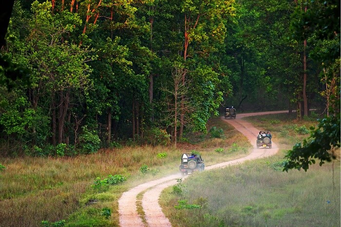 go on a safari on Gir Jungle Trail