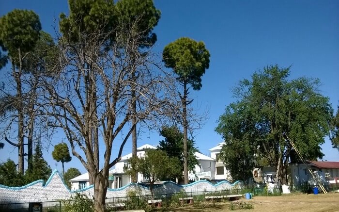 Haidakhan Babaji Temple premises