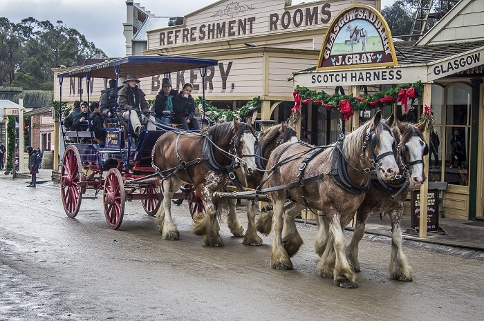go on a delightful horse carriage ride in melbourne