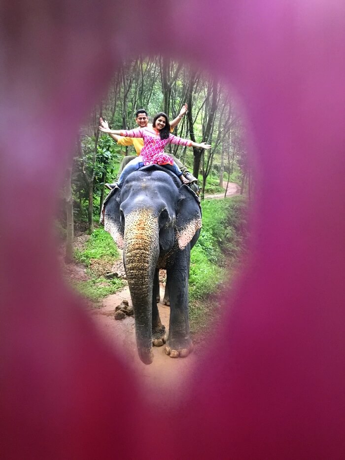 revan aarti kerala elephant riding