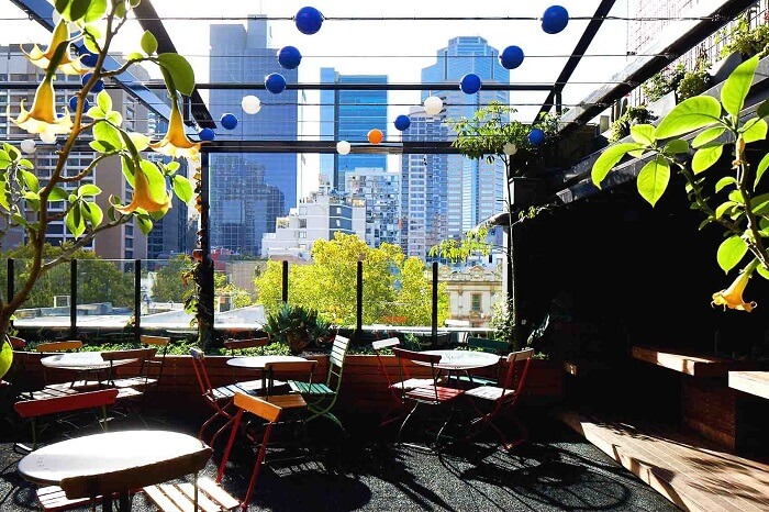 enjoy the cocktails and mocktails of loop project