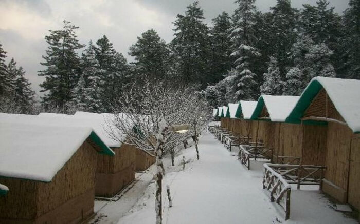 Mashobra Greens covered in snow